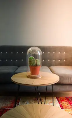 a cactus in a glass dome sitting on a table at The Dutchies' apartment in Plovdiv