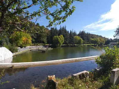 a bridge over a river in a park at City Sandanski in Sandanski