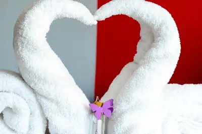 a pair of white towels with a purple bow at Hotel Alexander in Sofia