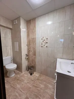 a bathroom with a toilet and a sink at Вихрен-стаи и апартаменти за гости in Sandanski