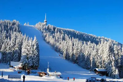 a ski slope with snow covered trees on a mountain at VIP Apartment Stenata Complex in Pamporovo