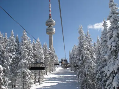 a ski lift with a bunch of snow covered trees at VIP Apartment Stenata Complex in Pamporovo