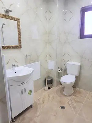 a bathroom with a toilet and a sink and a mirror at Семеен хотел 