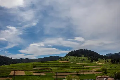 a green field with trees and a cloudy sky at Семеен хотел 