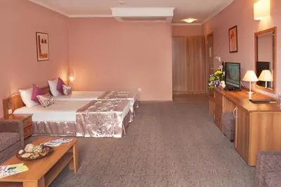a hotel room with a bed and a television at Hotel Real in Plovdiv
