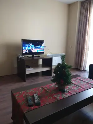a living room with a christmas tree and a television at Dream Apart Hotel 207 in Bansko