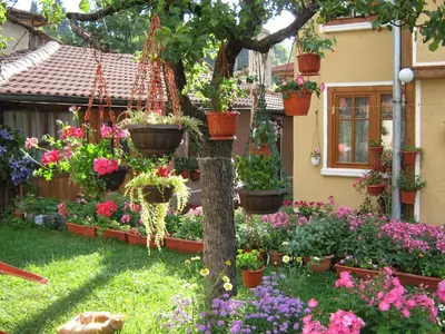 a garden with potted plants on a tree at Guest Rooms Bashtina Striaha in Koprivshtitsa
