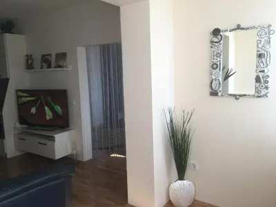 a living room with a television and a vase with a plant at Panorama Apartment Darvenitsa in Sofia