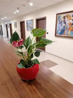 a red vase with a plant on a table at Hotel Lago Peshtera in Peshtera