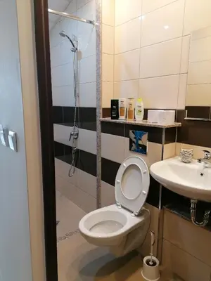 a bathroom with a toilet and a sink at Hotel Lago Peshtera in Peshtera