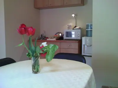 a vase of red roses sitting on a table at Avel Guest House in Sofia