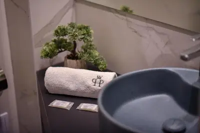 a bathroom with a sink and a plant on a counter at Park Hotel Plovdiv in Plovdiv