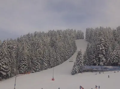 a ski slope with snow covered trees on a mountain at Vila Rila Samokov in Samokov