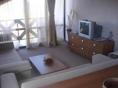 a living room with a couch and a tv at Snezhanka Apartments TMF in Pamporovo