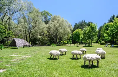 a herd of sheep grazing in a field of grass at Omaya Eco Village in Gaytaninovo