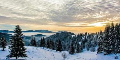 a view of a snow covered mountain with trees at Amampuri Village in Pamporovo