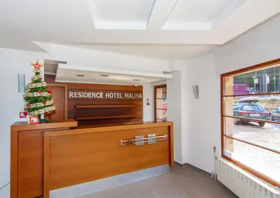 a room with a television and a christmas tree at Апартаменти Малина in Pamporovo