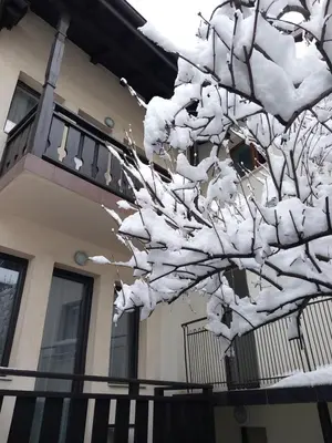 a tree covered in snow in front of a house at Guest house Skabrin in Bansko