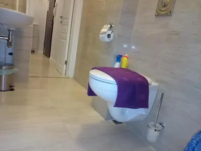 a bathroom with a toilet with a purple towel on it at Solunska Apartment in Sofia