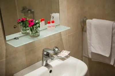 a bathroom with a sink and a mirror and flowers at Hotel Intelcoop in Plovdiv