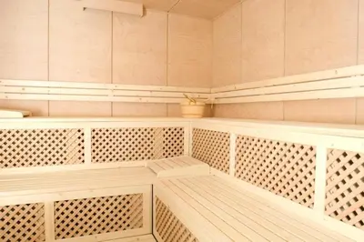 a sauna with a wooden bench and a plant at Aparthouse Borovo near Bulgaria Mall, free street parking in Sofia