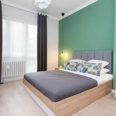 The Cozy Apartment