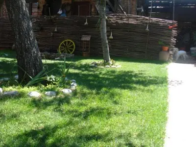 a yard with a house and a tree and some grass at Guesthouse Pumpalovi in Dobrinishte