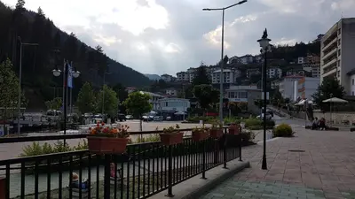 a view of a town with a fence and flowers at 