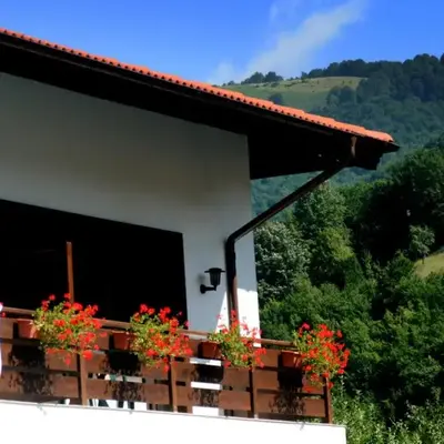 Spa Hotel Planinata