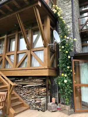 a building with a wooden door and a window at Katarino Villa Nature Escape in Razlog