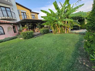 a yard in front of a house with palm trees at Boutique Hotel Colosseo in Sandanski