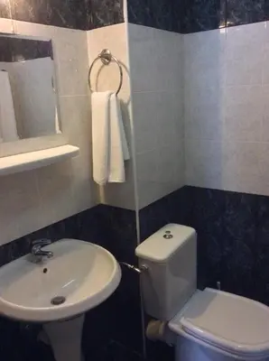 a bathroom with a white toilet and a sink at Hotel Balevurov in Sandanski