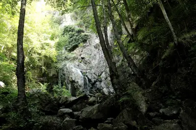 a waterfall in a forest with trees and rocks at Pamporovo Hotel Snezhanka A425 in Pamporovo