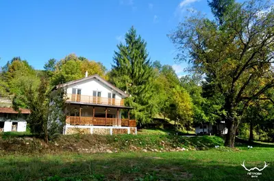 a house on a hill with trees at Пе́трови Вили in Ribarica
