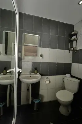 a bathroom with a toilet and a sink at Пе́трови Вили in Ribarica