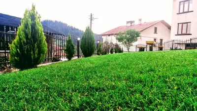 a yard with a fence and green grass at Къща за гости МЕЛИСА in Borino