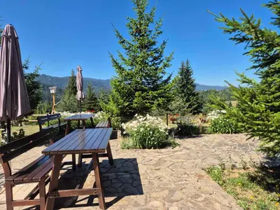 a picnic table and an umbrella and a tree at Panorama Stoykite Yana apartment in Pamporovo