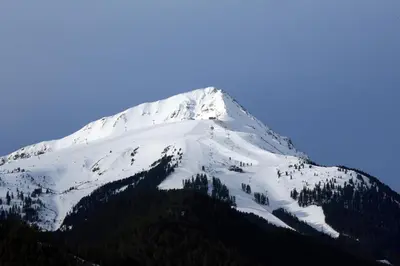 a snow covered mountain with trees on top of it at Nice and quiet apartment next to Gondola lift. in Bansko