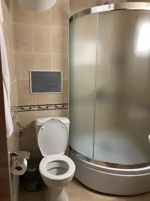 a bathroom with a toilet and a shower stall at Apartment Lucy in Pamporovo