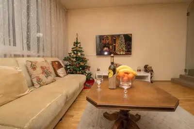 a living room with a couch and a christmas tree at Cosy, quiet house with Vitosha view near Paradise in Sofia