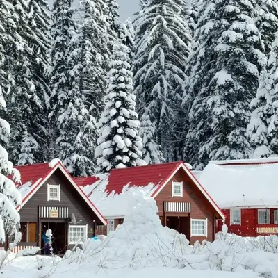 Alpine ski chalet Borovets with sauna