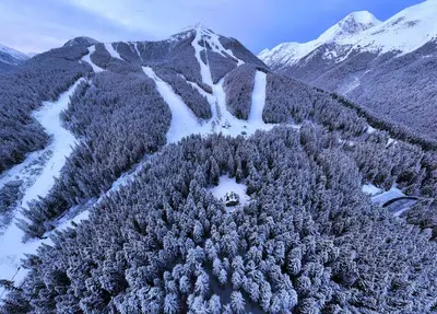 an aerial view of a snow covered mountain with trees at House Shiligarnika in Bansko