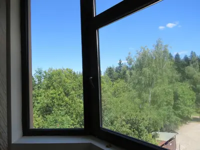 a window in a room with a view of trees at Rivendell Apartments Flora Complex in Borovets
