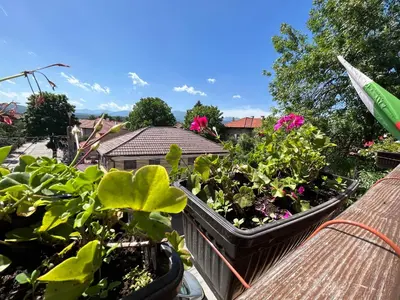 a balcony filled with plants on a roof at Guest house Legeto in Samokov