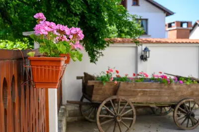 a flower pot on a fence with a wooden cart with flowers at Guest house Legeto in Samokov
