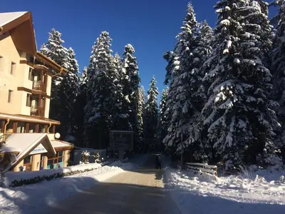 a group of trees covered in snow next to a building at Studio Villa Park 119 in Borovets