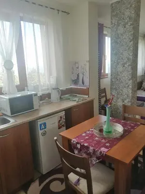 a kitchen with a table with a vase on it at Пампорово апартамент,студио Милка 17,в х Росица, за ски и туризъм,целогодишно in Pamporovo