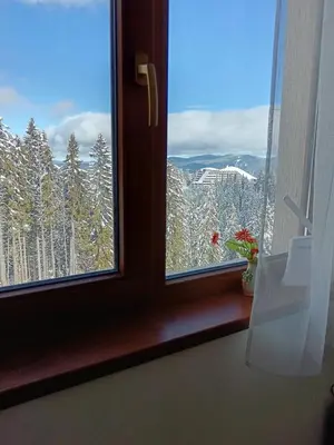 a window with a view of a snowy mountain at Пампорово апартамент,студио Милка 17,в х Росица, за ски и туризъм,целогодишно in Pamporovo