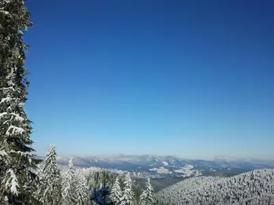 a view of a snow covered mountain with trees at Пампорово апартамент,студио Милка 17,в х Росица, за ски и туризъм,целогодишно in Pamporovo