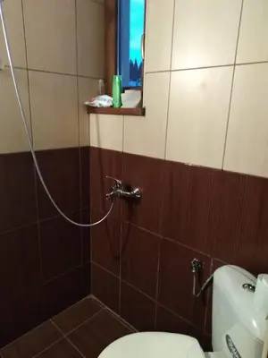a bathroom with a shower with a toilet and a window at Пампорово апартамент,студио Милка 17,в х Росица, за ски и туризъм,целогодишно in Pamporovo
